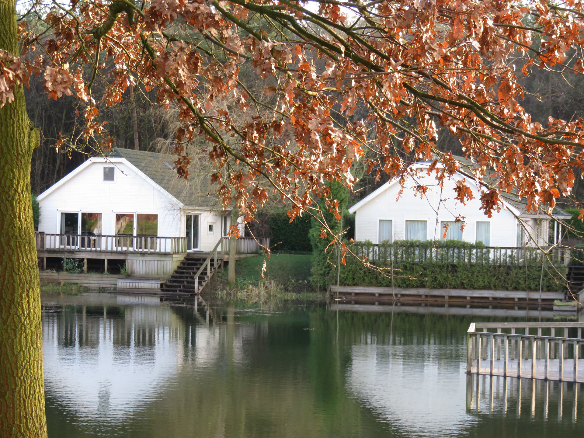 belangenvereniging